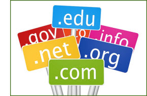 typical domain name extensions